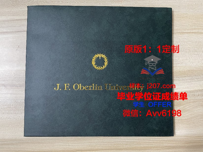 美因茨大学毕业证是什么样子(美因茨大学申请难度)