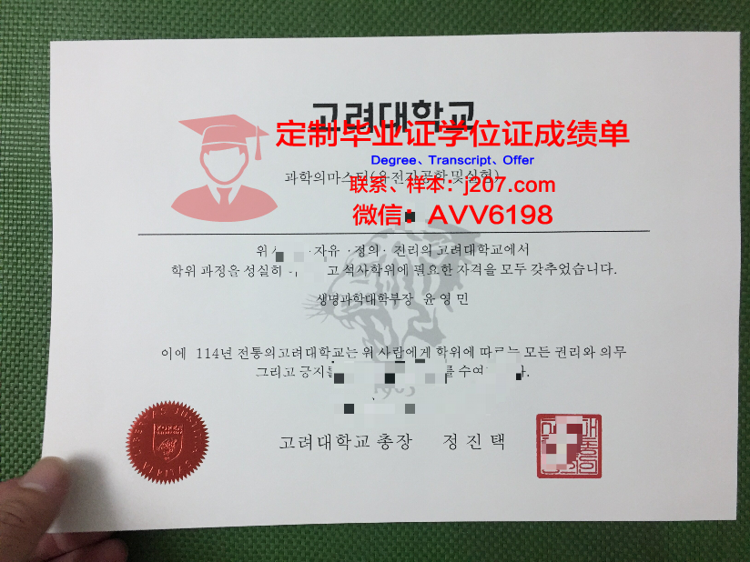 高丽大学毕业证案例(高丽大学世宗校区毕业证)