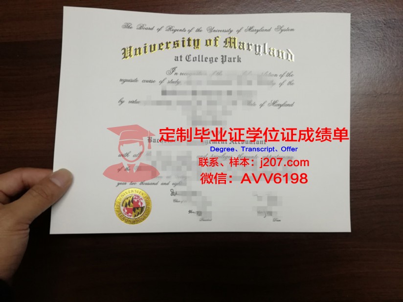 马里兰大学巴尔的摩郡分校本科学位证：开启未来无限可能