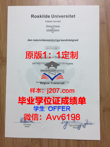 罗斯基勒大学毕业文凭