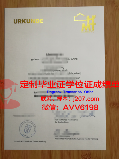 汉堡工业大学毕业证模板(汉堡国际工程学院)