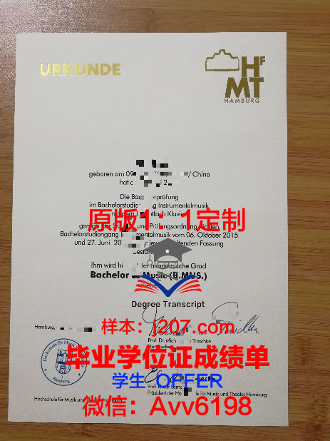 汉堡大学成绩单(汉堡大学本科申请)