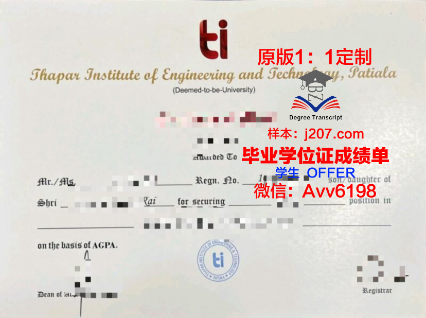 沃罗涅日高等技术学院毕业证：一张纸背后的故事与价值