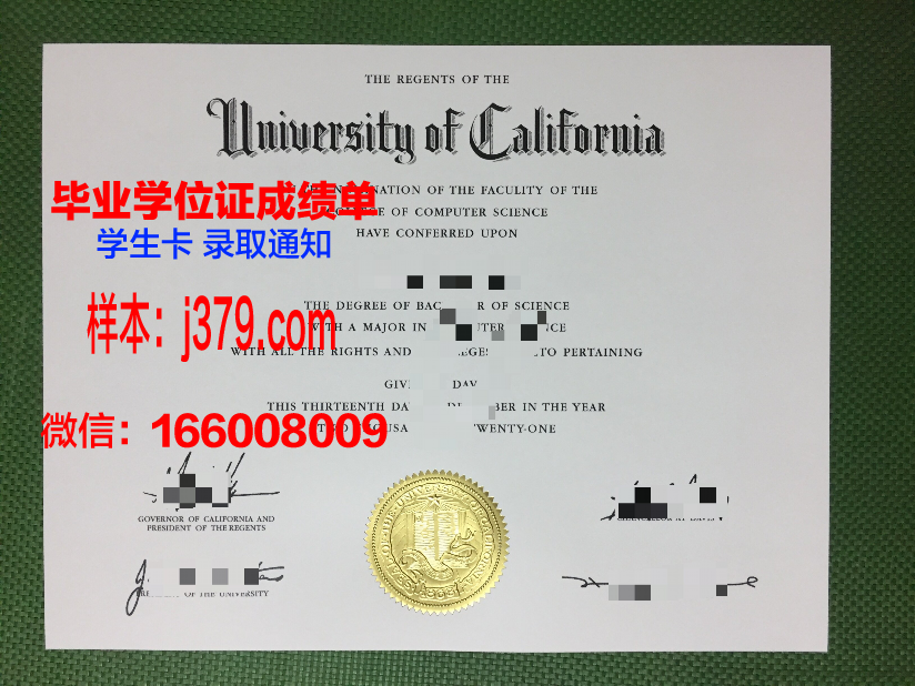 巴高路桥毕业证：承载知识与梦想的通行证