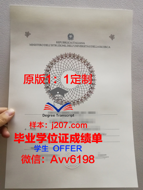沃罗涅日高等技术学院毕业证：一张纸背后的故事与价值