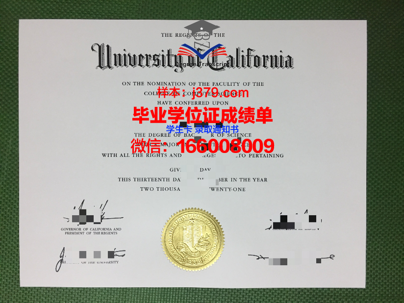 罗兹大学毕业证模板(开罗大学毕业证)