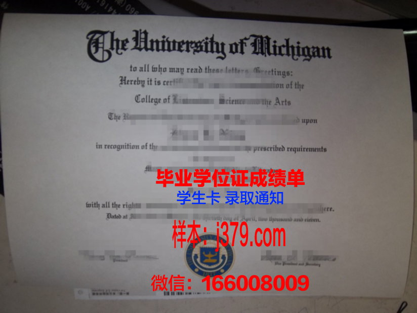 神户市外国语大学毕业证(外语外贸大学毕业证)