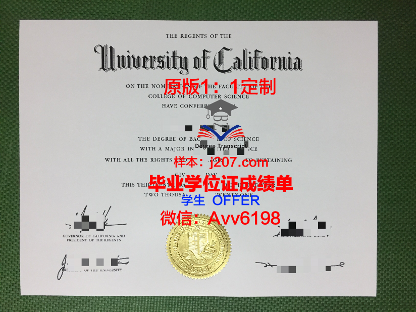 汉肯经济学院毕业证图片(汉肯商学院)