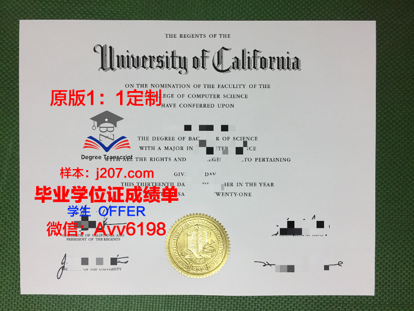 美利（Mei Li）博士毕业证：一段荣耀与奋斗的历程