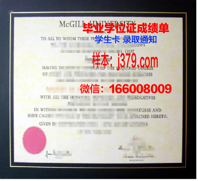 硕士学位毕业证书蓝色封皮：学术成就的象征