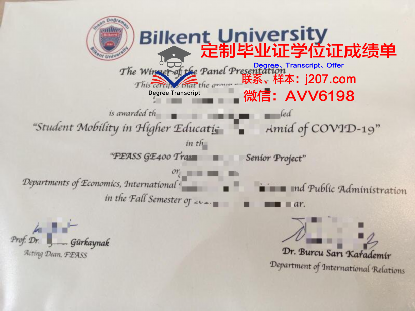 阿利坎特大学的毕业证都能做(阿利坎特大学的毕业证都能做什么工作)