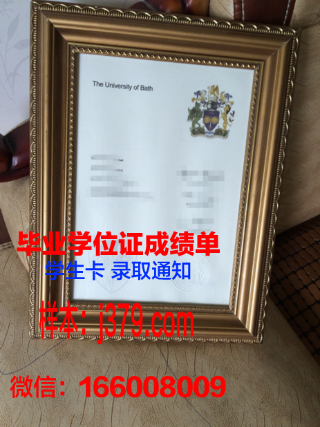 巴斯毕业证：一份承载荣誉与梦想的证书