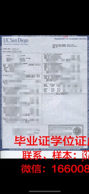 科克院成绩单：揭示人才选拔与培养的新趋势