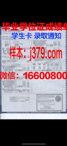 汉院成绩单：见证汉语学习成果的瑰宝