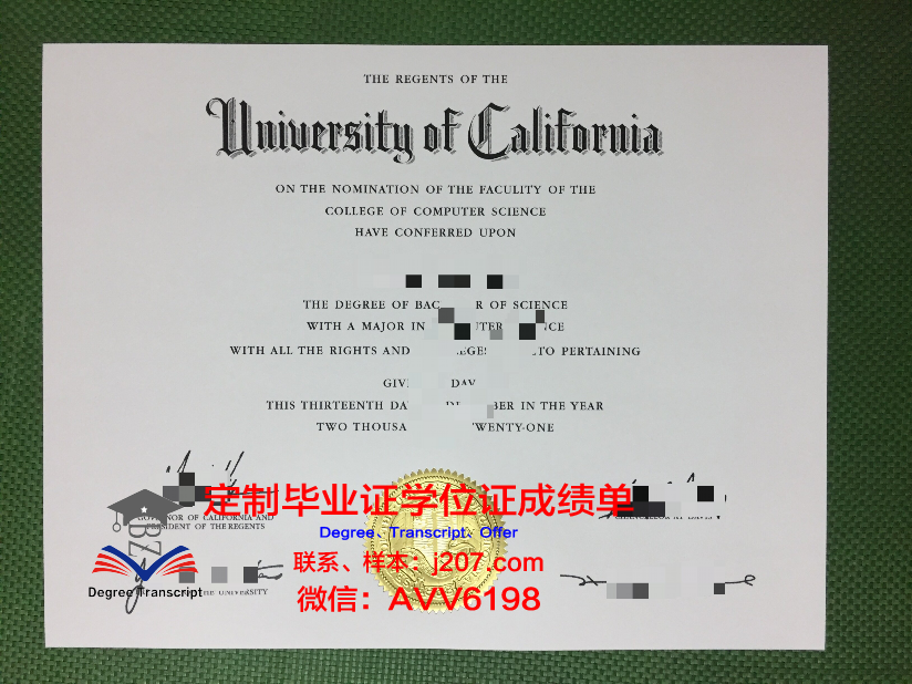 美因茨应用技术大学博士毕业证：一张开启未来的通行证