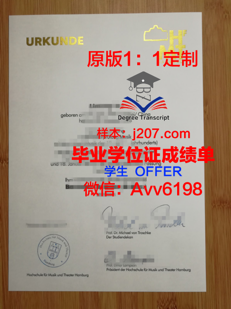 汉堡港口城市大学毕业证模板(汉堡港港口设施)