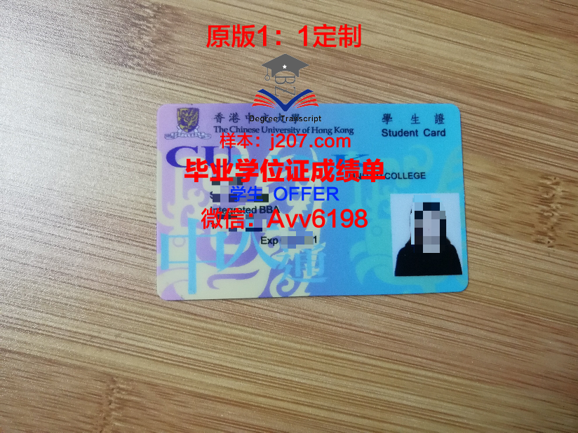 美因茨应用技术大学学生证