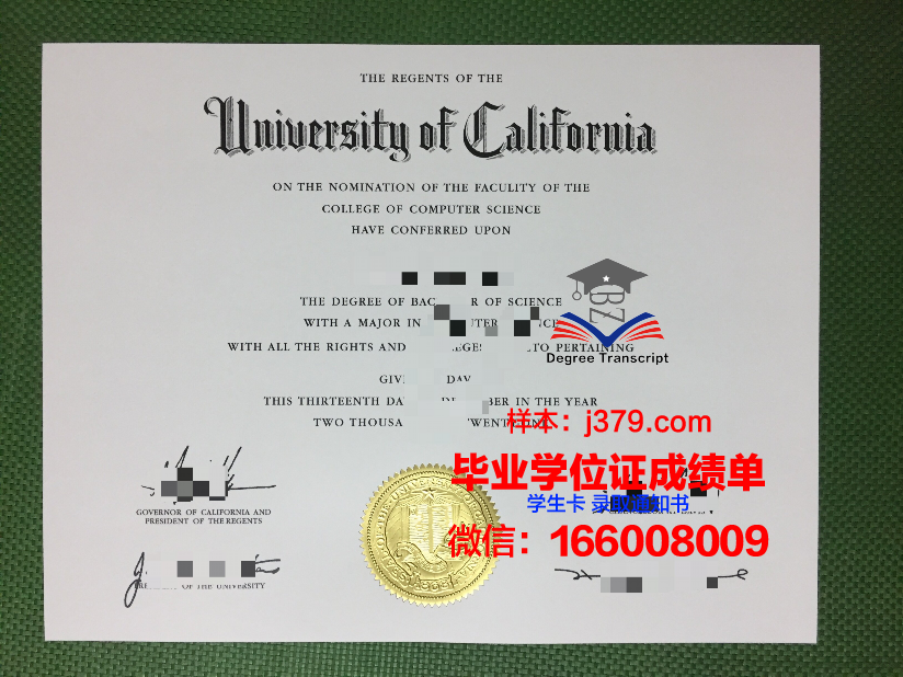 碧瑶大学毕业证是什么模样(碧瑶全名)