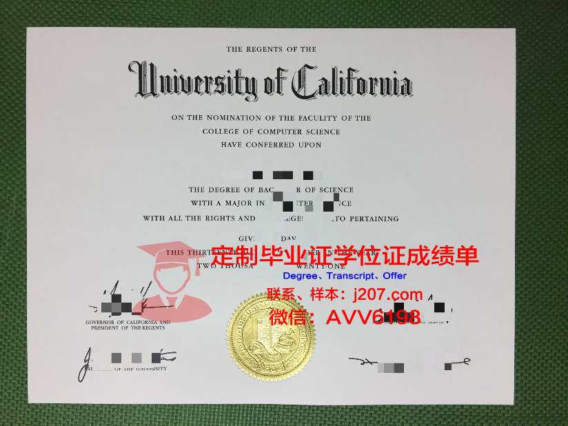 沃尔姆应用技术大学研究生毕业证(沃尔姆学院)