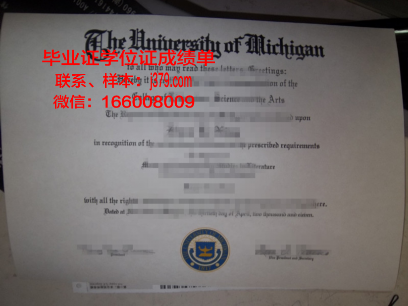 巴斯克大硕士毕业证：一张证书背后的故事
