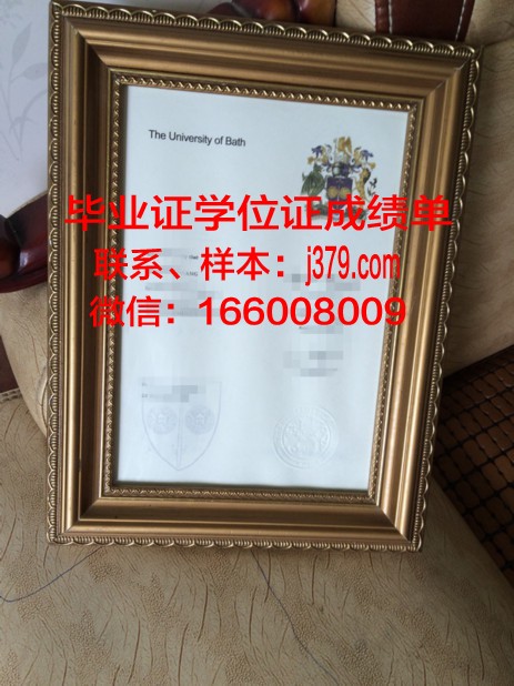 巴斯学位证：跨越学术与实践的桥梁