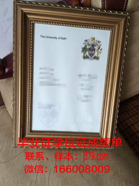 巴斯帝尔大学毕业证书图片高清(巴蒂尔大学时期)