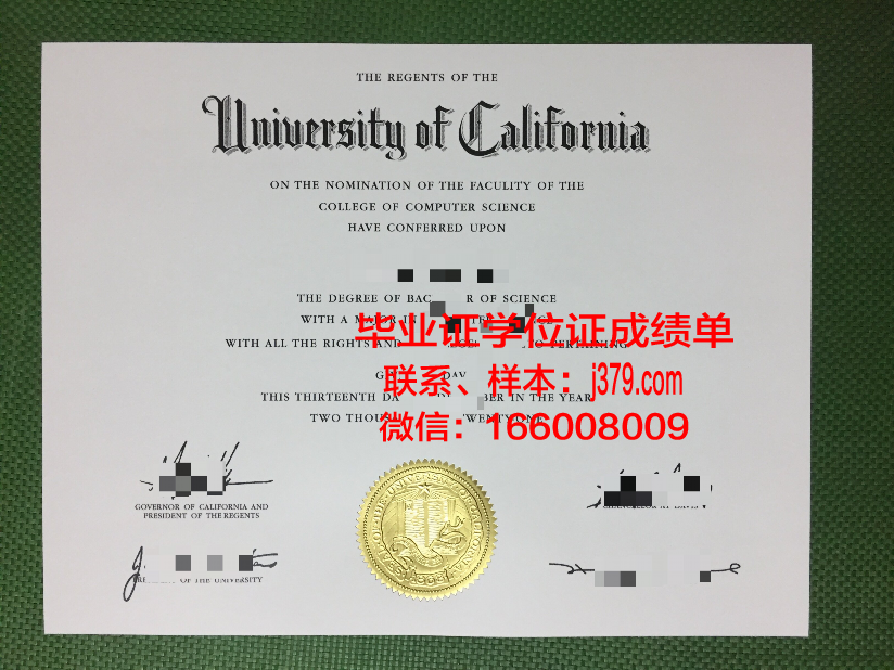 巴斯克大硕士毕业证：一张证书背后的故事