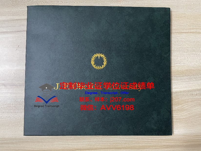 美因茨大学毕业证书图片(美因茨大学申请条件)