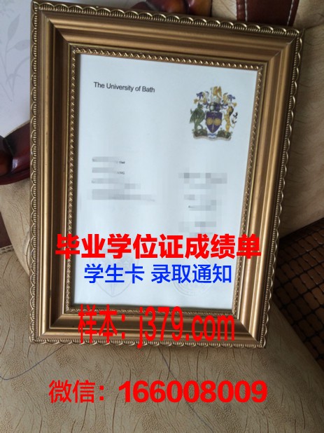 巴斯大学毕业证样本