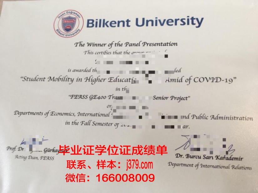 阿利坎特大学毕业证壳子(阿利坎特大学官网)