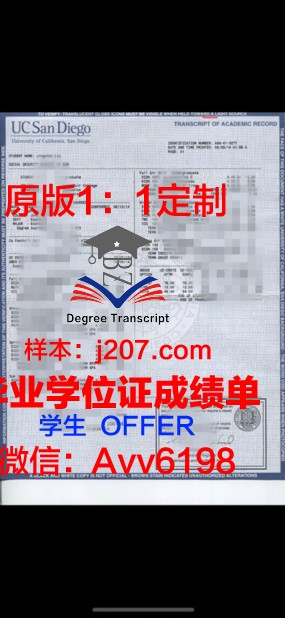 高等教育成绩单报告编号怎么查不到