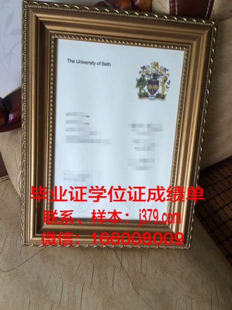 巴斯大学学历证书(巴斯大学本科申请条件)