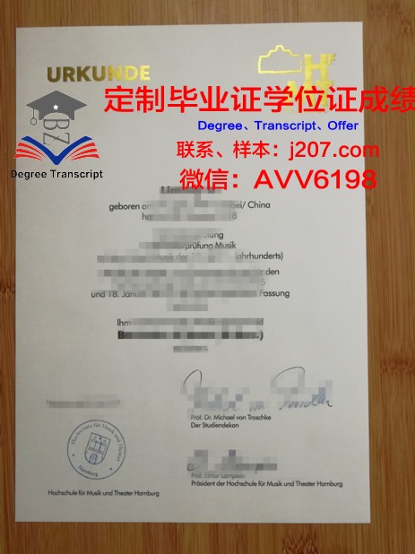 汉堡音乐与戏剧学院毕业证书图片模板(汉堡音乐学院招生简章)