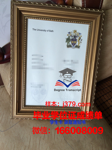 巴斯学位证：跨越学术与实践的桥梁