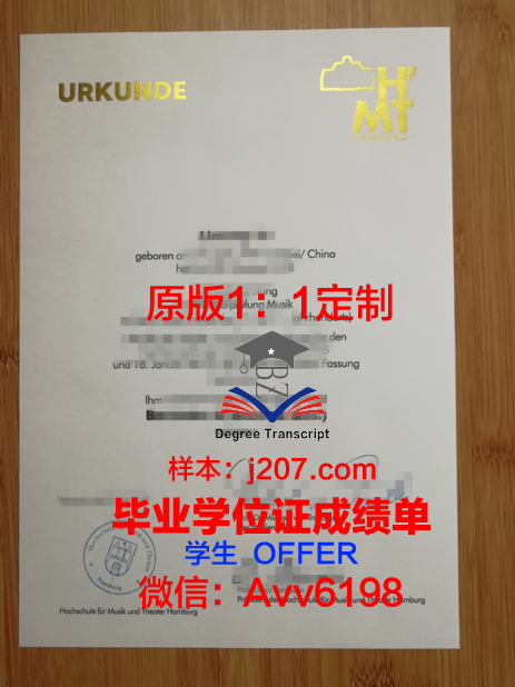 汉堡U毕业证：一份跨国教育的荣誉证书
