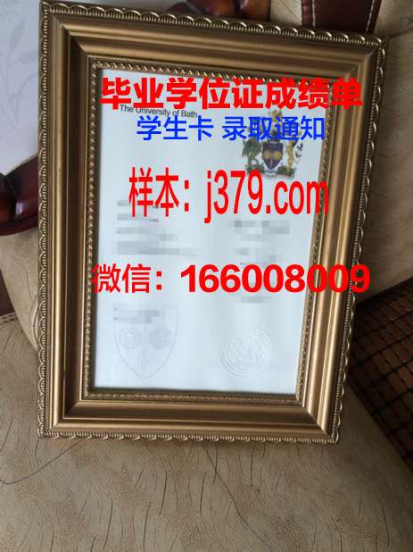 巴斯斯巴大学毕业学位