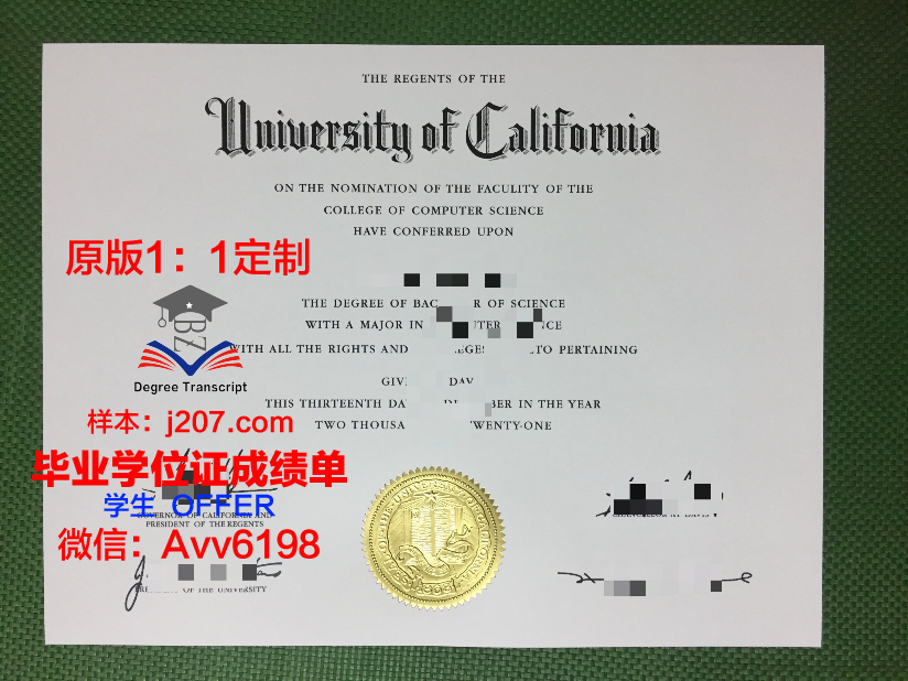 高等传播与营销学院毕业证图片(传媒高等教育)