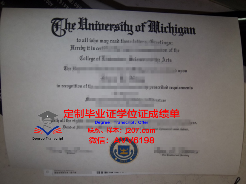 罗萨里奥国立大学毕业证(萨里国际学院毕业证)