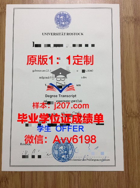 罗斯托夫国立建筑大学博士毕业证(德国罗斯托克大学博士)