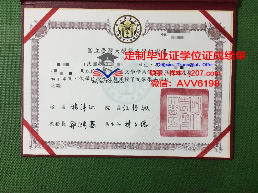 沃罗涅日国立大学毕业证模板(沃罗涅日国立师范大学)