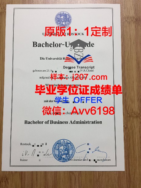 罗斯托夫国立建筑大学博士毕业证(德国罗斯托克大学博士)