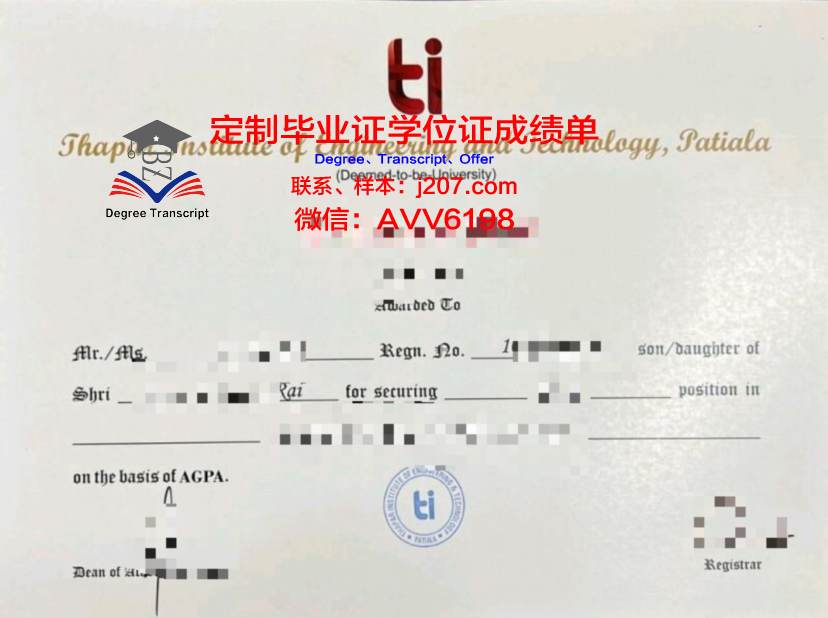 罗彻斯特社区技术学院毕业学位