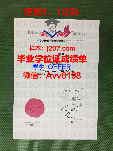 罗斯托夫国立建筑大学硕士毕业证：开启建筑领域新篇章的钥匙