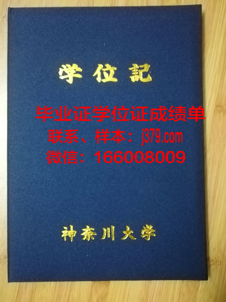 神奈川大学毕业证补办