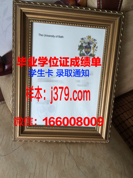 巴斯大学学历证书(巴斯大学本科申请条件)