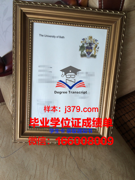 巴斯帝尔大学的毕业证都能做(巴斯大学就业前景)