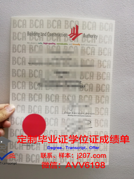 罗斯托夫国立建筑大学硕士毕业证：开启建筑领域新篇章的钥匙