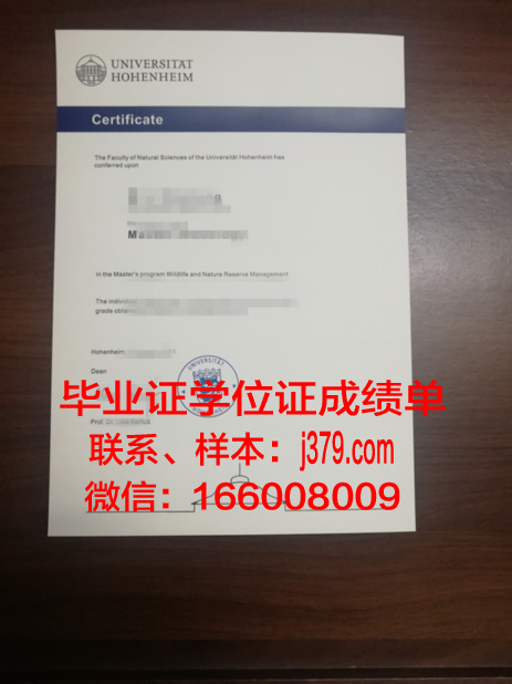 盖森海姆应用技术大学毕业证书图片高清(盖森教育做什么的)