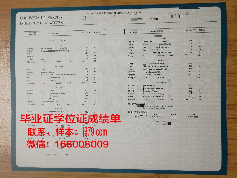 相爱大学成绩单：记录青春岁月的独特印记