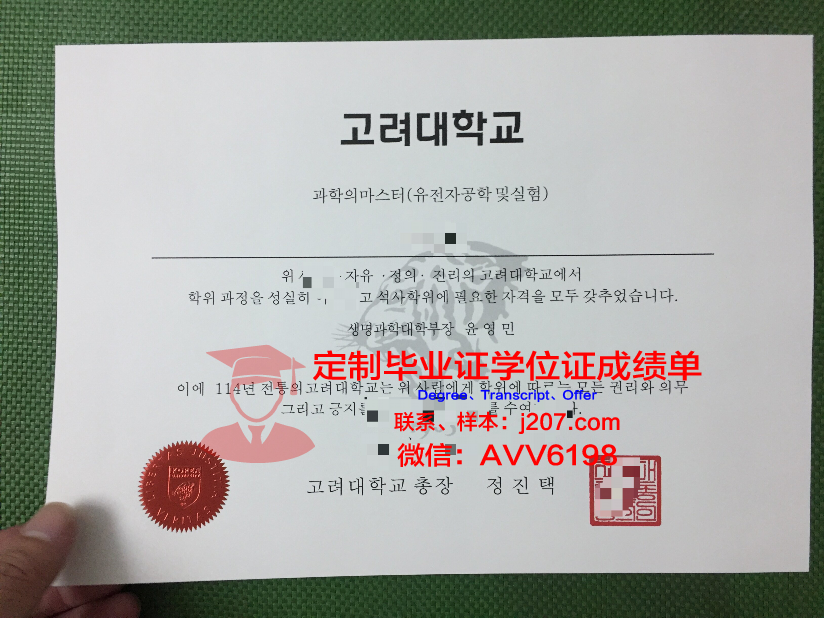 高丽大学毕业证书(高丽大学世宗校区毕业证)